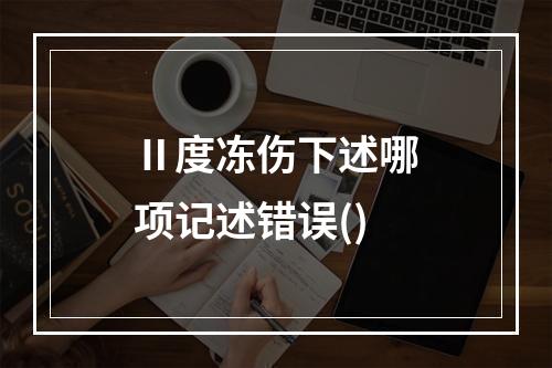 Ⅱ度冻伤下述哪项记述错误()