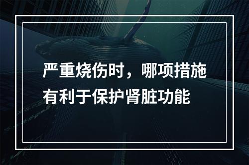 严重烧伤时，哪项措施有利于保护肾脏功能