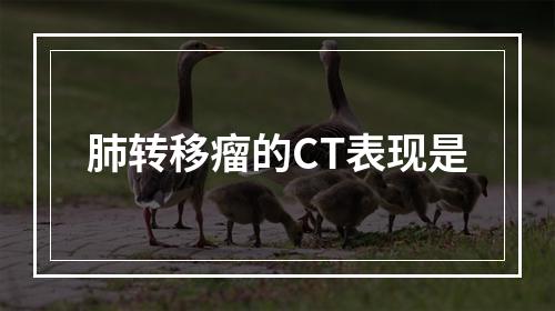 肺转移瘤的CT表现是