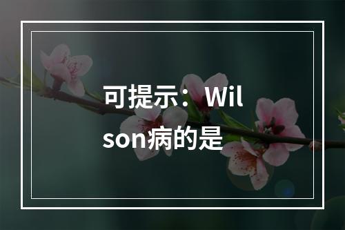 可提示：Wilson病的是