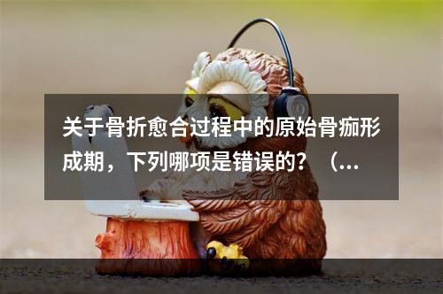 关于骨折愈合过程中的原始骨痂形成期，下列哪项是错误的？（　　