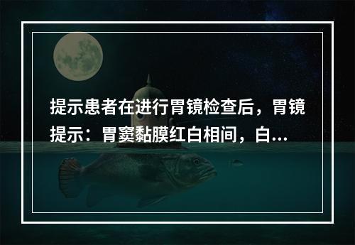 提示患者在进行胃镜检查后，胃镜提示：胃窦黏膜红白相间，白相为