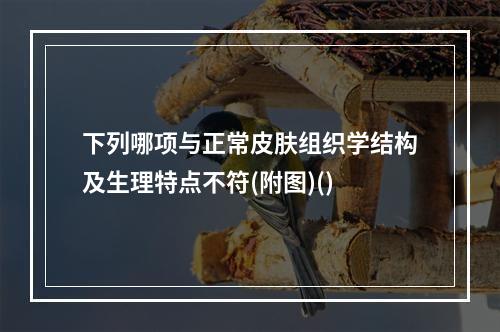 下列哪项与正常皮肤组织学结构及生理特点不符(附图)()