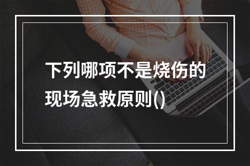 下列哪项不是烧伤的现场急救原则()