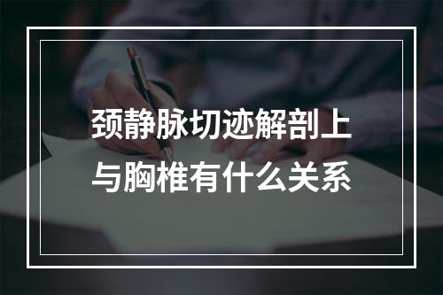 颈静脉切迹解剖上与胸椎有什么关系