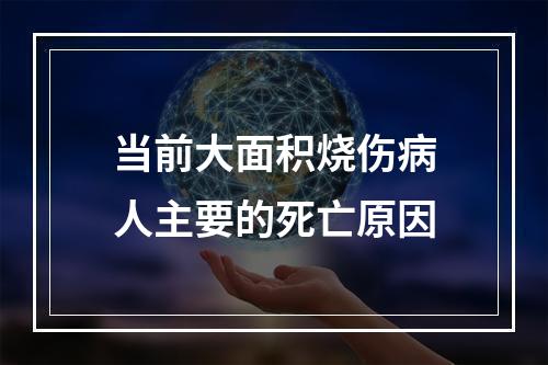 当前大面积烧伤病人主要的死亡原因