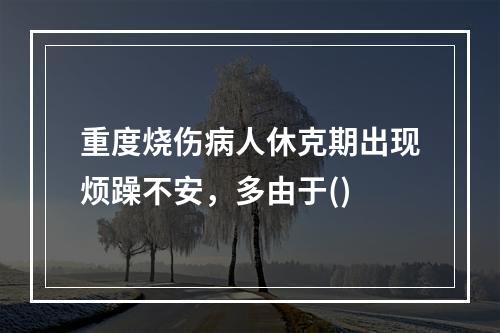 重度烧伤病人休克期出现烦躁不安，多由于()