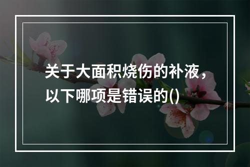 关于大面积烧伤的补液，以下哪项是错误的()