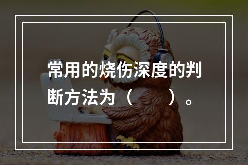 常用的烧伤深度的判断方法为（　　）。