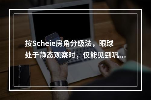 按Scheie房角分级法，眼球处于静态观察时，仅能见到巩膜突