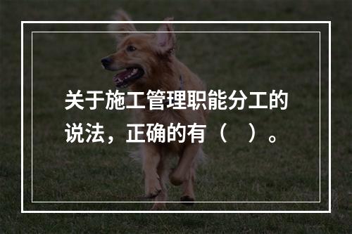 关于施工管理职能分工的说法，正确的有（　）。