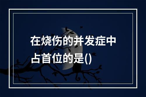 在烧伤的并发症中占首位的是()