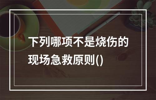 下列哪项不是烧伤的现场急救原则()