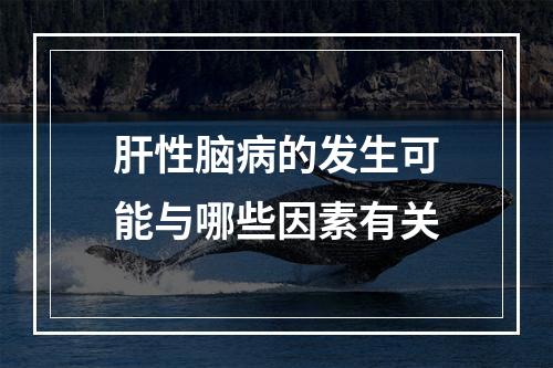 肝性脑病的发生可能与哪些因素有关