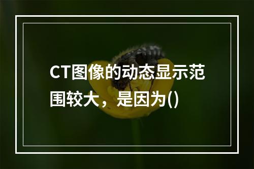 CT图像的动态显示范围较大，是因为()