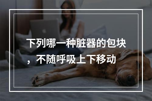 下列哪一种脏器的包块，不随呼吸上下移动