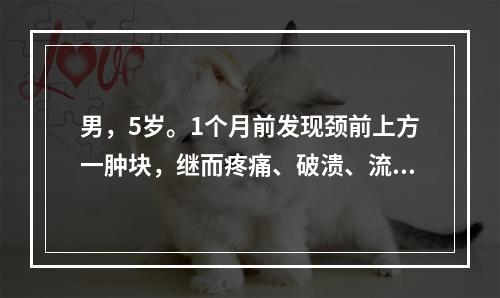 男，5岁。1个月前发现颈前上方一肿块，继而疼痛、破溃、流脓，