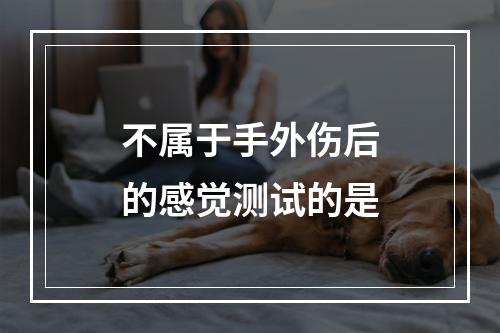 不属于手外伤后的感觉测试的是