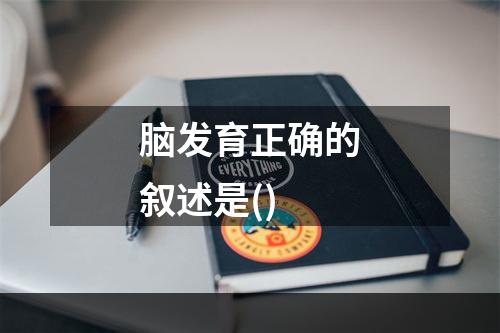 脑发育正确的叙述是()