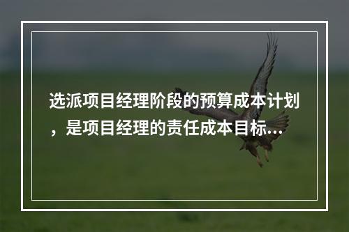 选派项目经理阶段的预算成本计划，是项目经理的责任成本目标，属