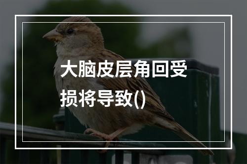 大脑皮层角回受损将导致()