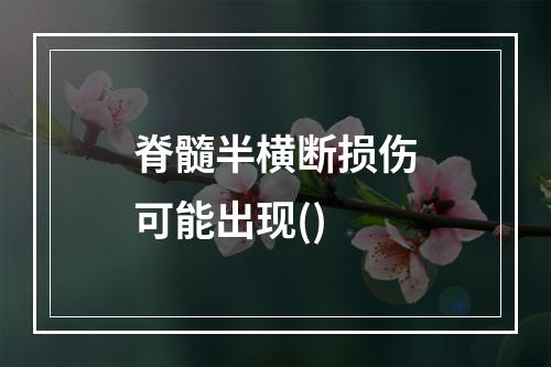 脊髓半横断损伤可能出现()