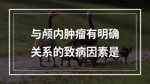 与颅内肿瘤有明确关系的致病因素是