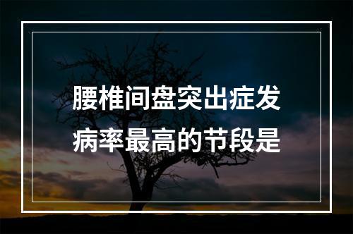 腰椎间盘突出症发病率最高的节段是