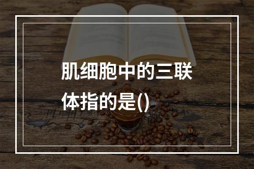 肌细胞中的三联体指的是()