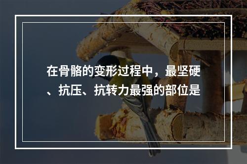 在骨骼的变形过程中，最坚硬、抗压、抗转力最强的部位是