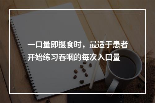 一口量即摄食时，最适于患者开始练习吞咽的每次入口量