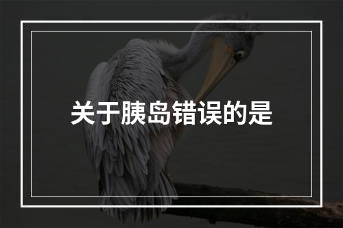 关于胰岛错误的是