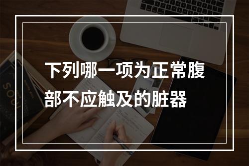 下列哪一项为正常腹部不应触及的脏器