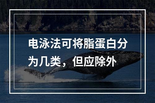 电泳法可将脂蛋白分为几类，但应除外