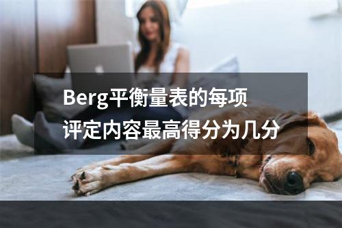 Berg平衡量表的每项评定内容最高得分为几分