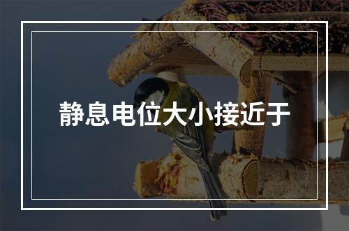 静息电位大小接近于