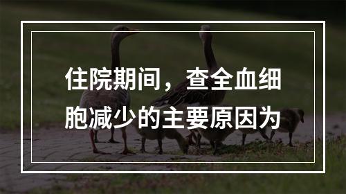 住院期间，查全血细胞减少的主要原因为