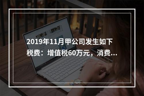 2019年11月甲公司发生如下税费：增值税60万元，消费税8