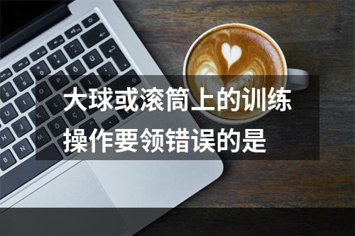 大球或滚筒上的训练操作要领错误的是