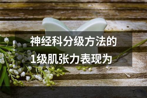 神经科分级方法的1级肌张力表现为