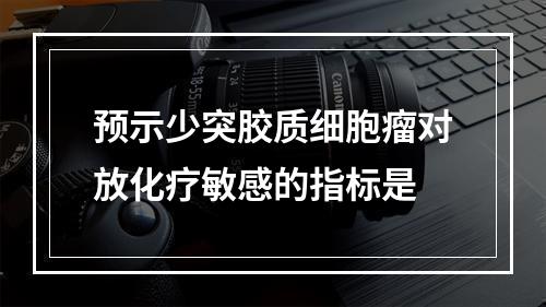 预示少突胶质细胞瘤对放化疗敏感的指标是