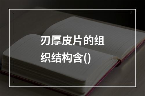 刃厚皮片的组织结构含()