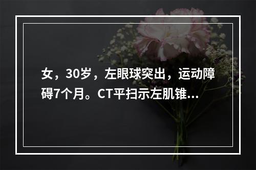 女，30岁，左眼球突出，运动障碍7个月。CT平扫示左肌锥内有