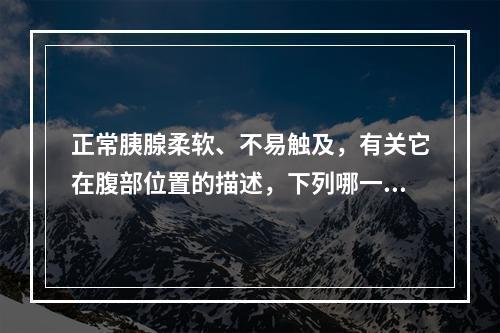 正常胰腺柔软、不易触及，有关它在腹部位置的描述，下列哪一项不