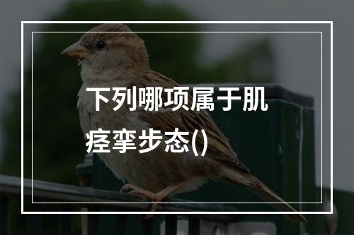 下列哪项属于肌痉挛步态()