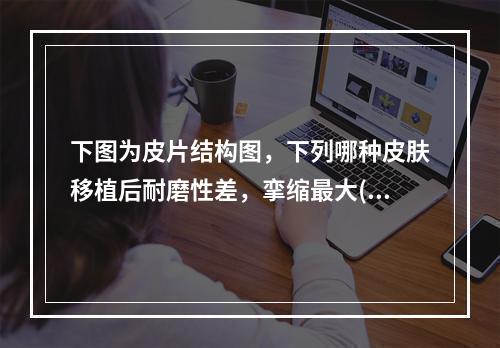 下图为皮片结构图，下列哪种皮肤移植后耐磨性差，挛缩最大()