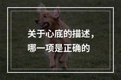 关于心底的描述，哪一项是正确的