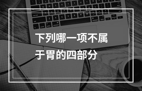 下列哪一项不属于胃的四部分