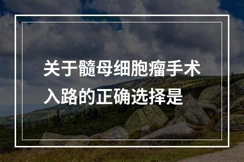 关于髓母细胞瘤手术入路的正确选择是