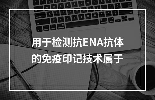 用于检测抗ENA抗体的免疫印记技术属于